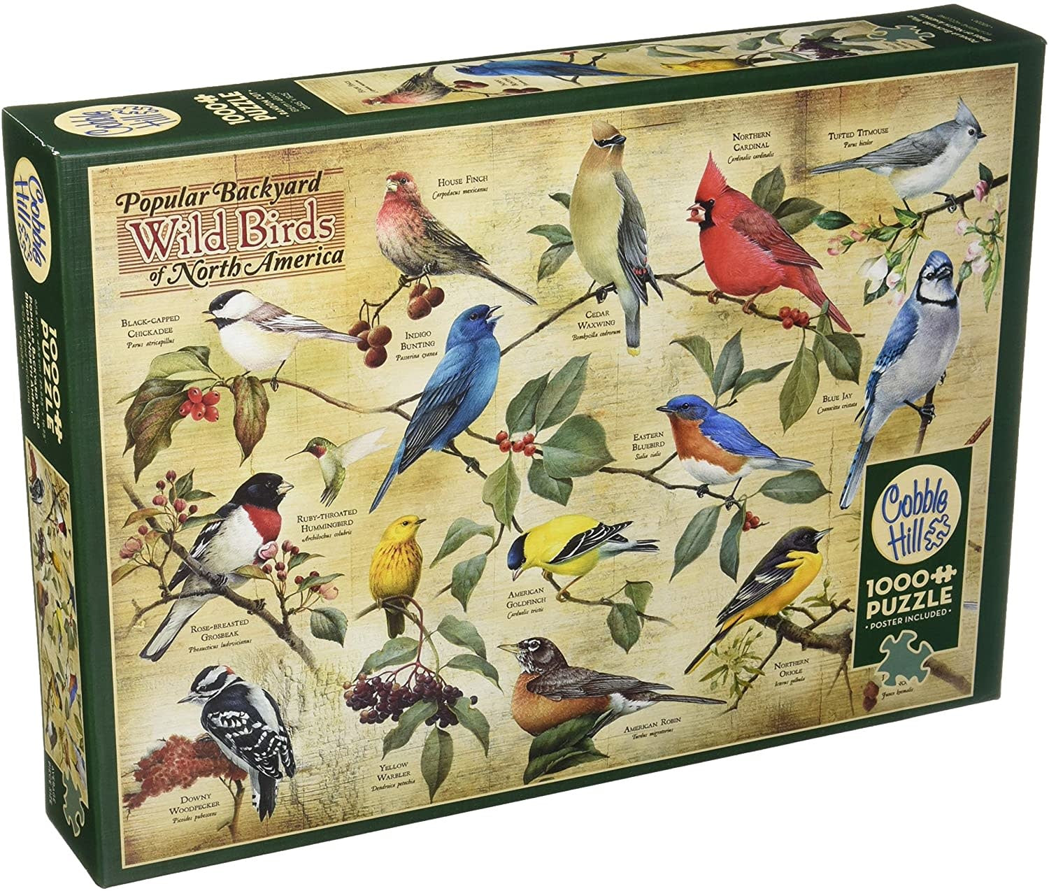 Table Top Cafe Puzzle: 1000 Popular Backyard Wild Birds of North America